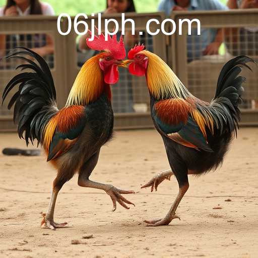 The Intricacies of Online Sabong and the Role of 06 JL